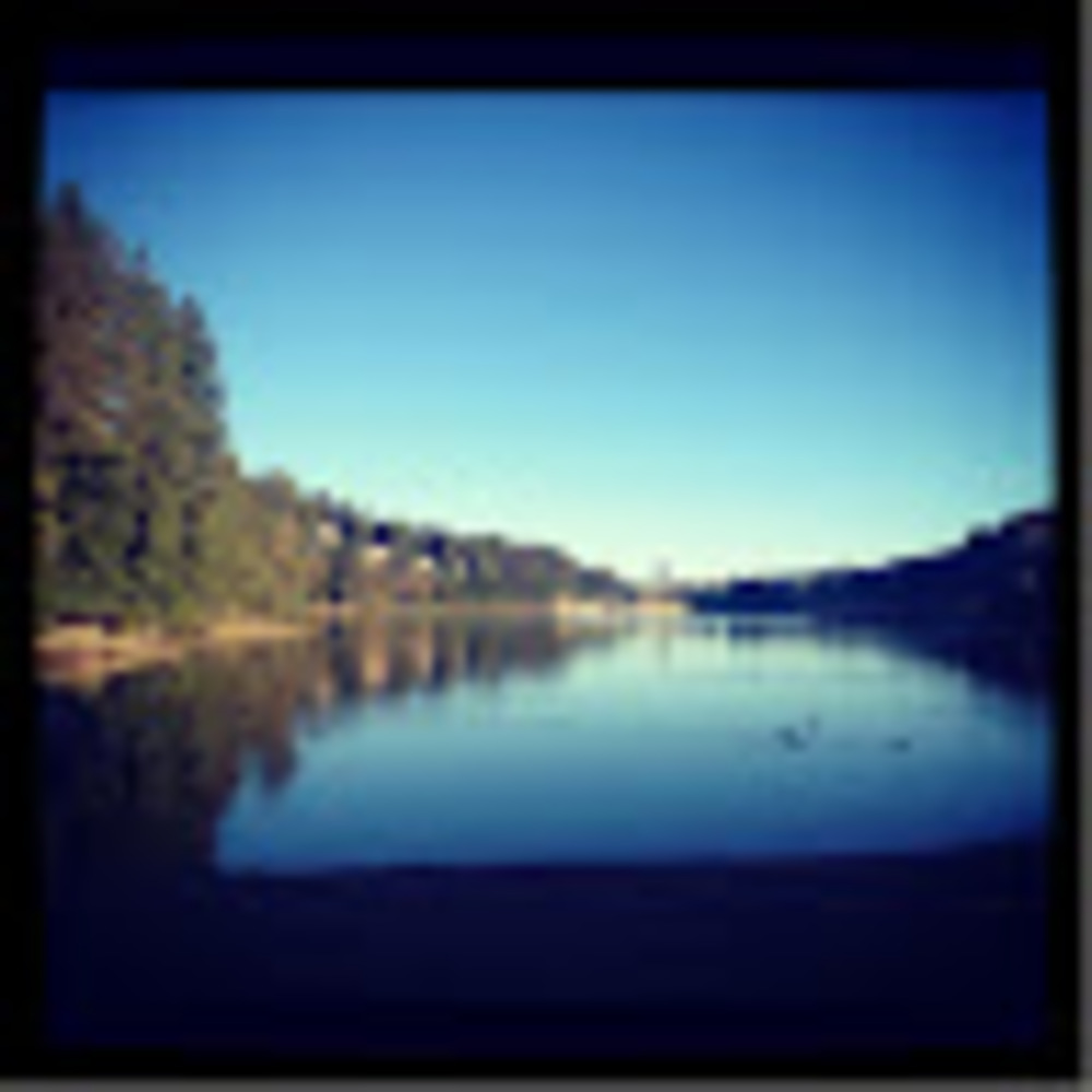 Meet your Posher, Alicia